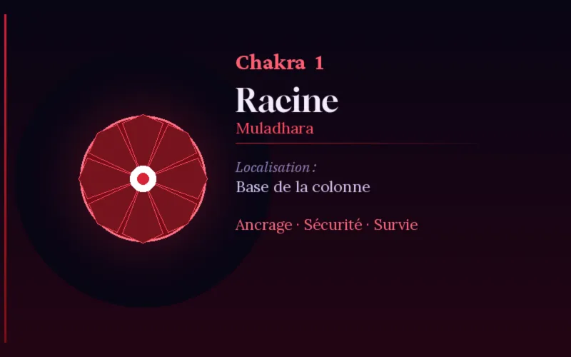 Muladhara - Chakra Racine